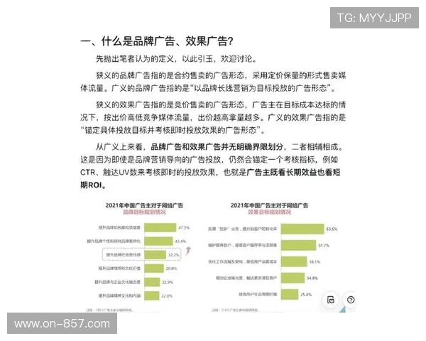 效果广告与品牌广告预算结构优化