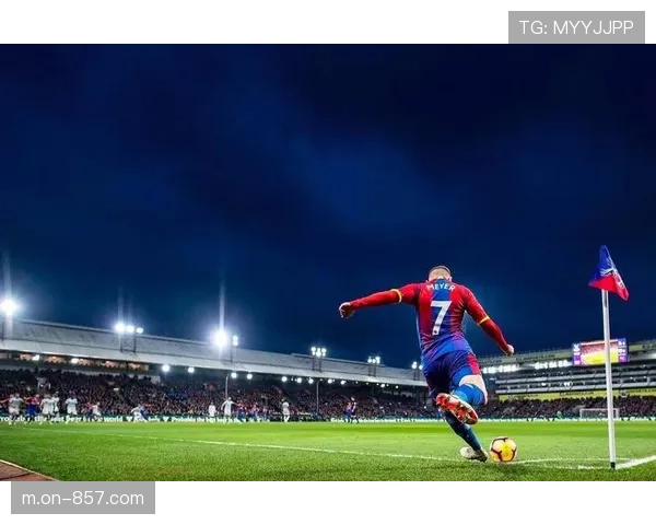 塞尔赫斯特公园球场气氛热烈，水晶宫球迷高歌助威